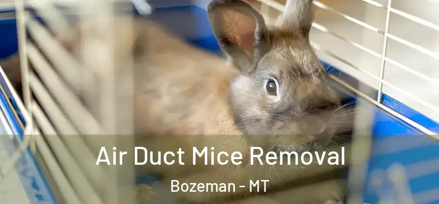  Air Duct Mice Removal Bozeman - MT