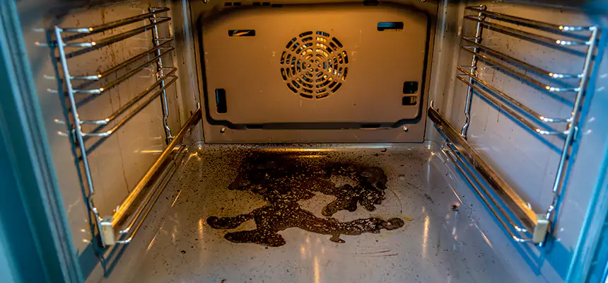 Our Dryer Vent Mold Cleaning Services in Bozeman, MT