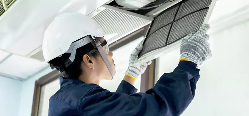 Our Mold & Mildew Removal from Air Ducts Services in Bozeman, MT