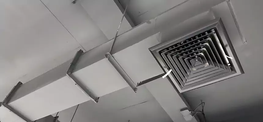 Our Rodent Droppings In Vents Services in Bozeman, MT