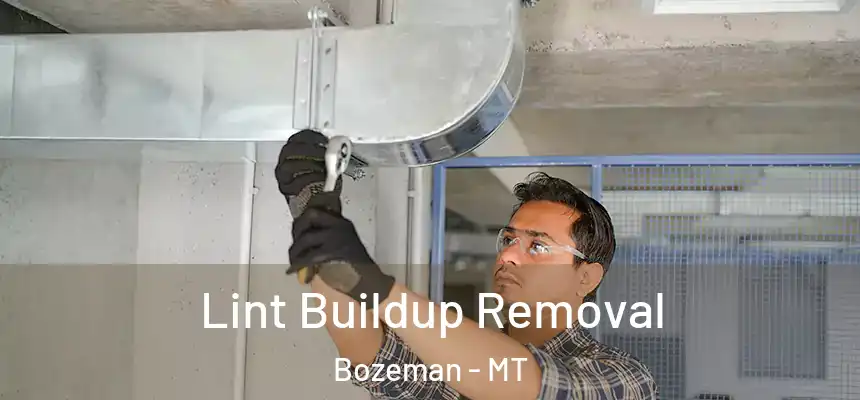  Lint Buildup Removal Bozeman - MT