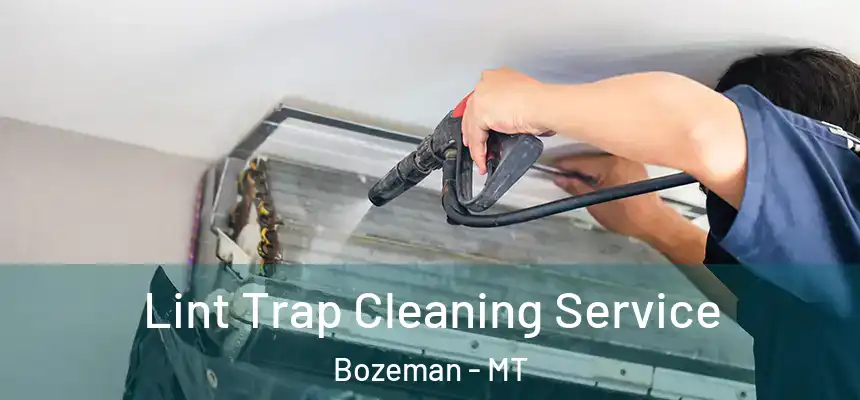  Lint Trap Cleaning Service Bozeman - MT