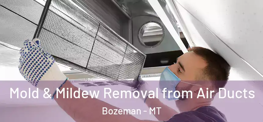  Mold & Mildew Removal from Air Ducts Bozeman - MT