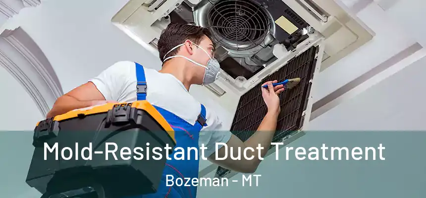  Mold-Resistant Duct Treatment Bozeman - MT