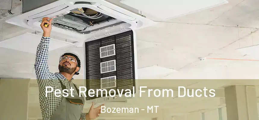  Pest Removal From Ducts Bozeman - MT