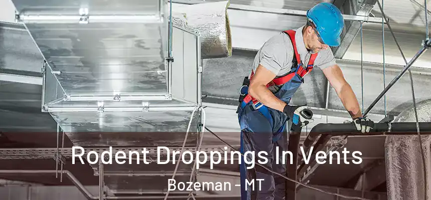  Rodent Droppings In Vents Bozeman - MT