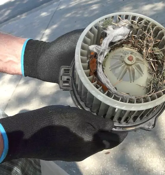 About Air Duct Mice Removal in Bozeman, MT